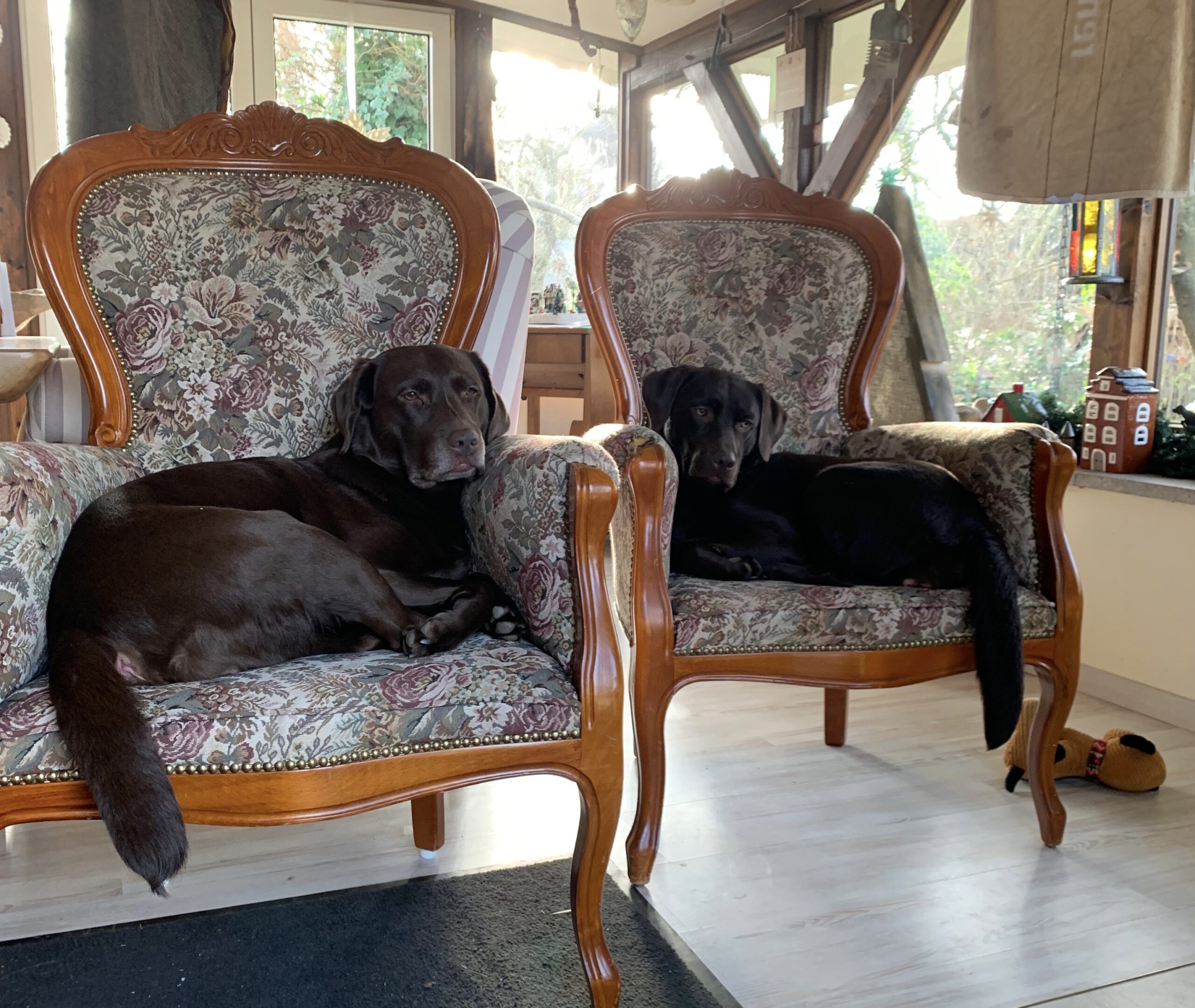 von der Plüschmorswies